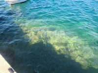 Šibenik - okolica, Grebaštica, samostojeća kuća blizu mora