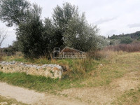 .::: Šibenik, poljoprivredno zemljište 1.946m2 :::.
