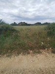 Šišan, 550 m2, u blizini naselja i urbanizacije