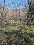 Škrljevo, teren 10.000m2, 245.000€