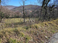 Škrljevo, teren 10.000m2, 245.000€