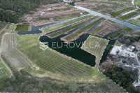 Slivno, Tuštevac, poljoprivredno zemljište 40000 m²
