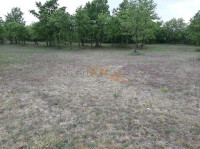 *Smoljanci, veće poljoprivredno zemljište 3996m2*