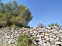Šolta, Gornje Selo - polj.zemljište sa pogledom na more, 6700 m2, PROD