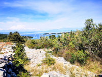 Šolta, Nečujam - maslinik sa 240 stabala, 8200 m2, PRODAJA