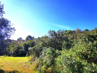 Šolta, Nečujam - poljoprivredno zemljište sa pogledom, 13000 m2, PRODA