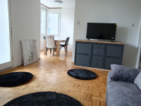 Osijek-Sjenjak, novo uređen dvosobni stan 55 m2