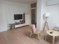 STAN U SISKU, ZELENI BROJEG 44M2, TOP LOKACIJA, RENOVIRANO