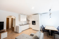 EKSKLUZIVNO-MANUŠ,KOMPLETNO RENOVIRAN,41,00 m2