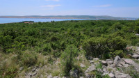 STARIGRD - SELINE, GRAĐ. ZEMLJIŠT 1564 M2, PRODAJA, POGLED NA MORE, LO