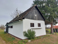 Vinograd u punome rodu, starinska kljet i voćnjak