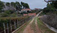 Suđurađ, Otok Šipan, Suđurađ, 29.323,00 m2, 180.000,00 EUR