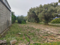 SUKOŠAN – ATRAKTIVNO GRAĐEVINSKO ZEMLJIŠTE 1.416 m², 550 m OD MORA!!