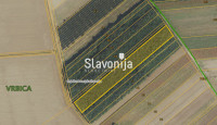 ŠUMA 10687 m2 - VRBICA