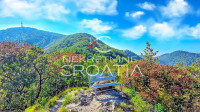 ŠUMA 11.142 m2, IVANŠČICA!