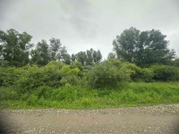 Šuma, Kopačevo, 5.440m2, PRILIKA!