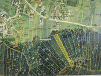 Šuma , Molvice, 4068 m2