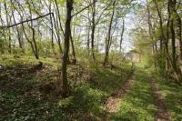 Šuma, površine 920 m2 u Gornjoj Dubravi - 19000 €