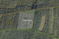 ŠUMA,PRODAJA,DONJI LIPOVAC, 7200 m2