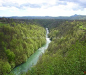 Šuma sa šumskim zemljištem