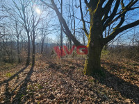 Šumsko zemljište s panoramskim pogledom – Markuševec Turopoljski