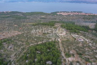 Supetar, Brač, zemljište 13.668 m² – maslinik