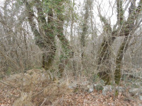 SUŽAN (OTOK KRK) Poljoprivredno zemljište, 2841 m2