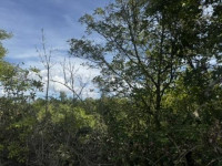 SVETVINČENAT – ATRAKTIVNO ZEMLJIŠTE 3.210 m², GRAĐEVINSKI I POLJOPRIVR