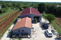 Svetvinčenat, Čabrunići - rijetkost na tržištu, prostrana hala s dodat