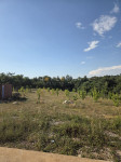 Privatno istarsko imanje od 27.300 m² – građevinska dozvola, aktivan O