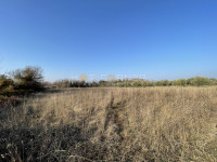 Tar (Poreč), poljoprivredno zemljište 7500m2