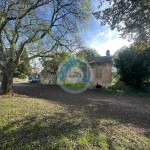 TAR-VABRIGA!!! Dvije ruševine za kompletno renoviranje sa 1460 m2 okuć