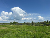 Tar- veliko građevinsko zemljište za investiciju