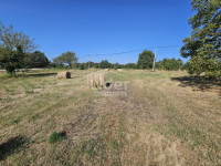 Teren ŽMINJ, okolica