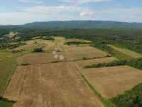 TOP PRILIKA! Zemljište i solarna elektrana!