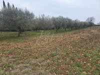 Tri građevinske parcele u Galižani