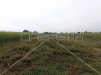 Turanj, Turanj, 3.468,00 m2, 131.784,00 EUR