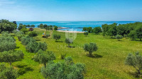 Umag, okolica - moderna kuća 1.red do mora!