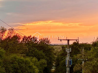 Umag-okolica, vrijedno poljoprivredno zemljište 1200 m2