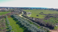 Umag, savršeno građevinsko zemljište 3.700 m2 za investiciju blizu gra