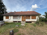 USELJIVO IMANJE NA OSAMI ŠUMA ZELENILO POGLED