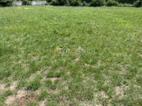 Valbandon, Fažana, građevinsko zemljište 800m2 na 500m od mora