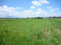 GRAĐEVINSKO ZEMLJIŠTE 3300 m² – izvrsna prilika u Varaždinu!