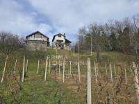 Varaždinske Toplice, vinograd i oranica, 2113 m2