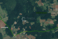 Velika parcela općina Vižinada – 7.451 m² sa šumom
