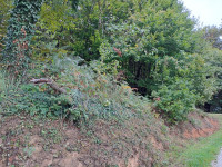 Velika površina i velika količina kvalitetne šume