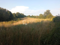 Veliki kompleks građevinsko poljoprivrednog zemljišta u okolici Svetvi