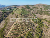 Veliko imanje od 170 000 m2 s predivnim pogledom