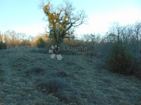 Veliko poljoprivredno zemljište u okolici Cera