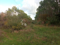 Veliko poljoprivredno zemljište u Rovinjskom Selu